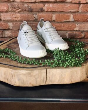 TENIS RSV ASTRAL