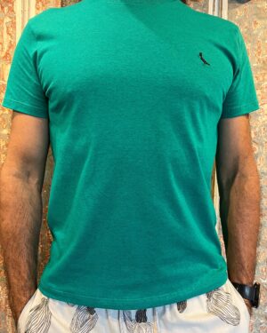 CAMISETA PARIS VERDE BANDEIRA